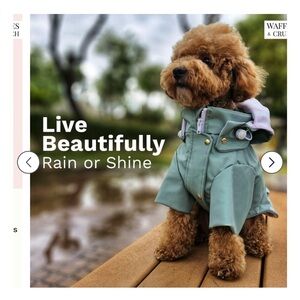 Waffles & Crunch, Dog Rain Jacket, Raincoats for Dogs,